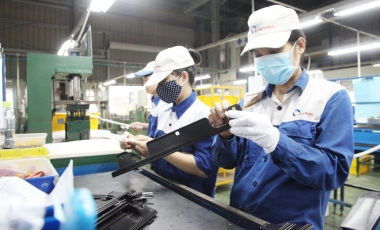 Khoảng 50% DN tư nhân nằm trong top 500 doanh nghiệp lớn Việt Nam