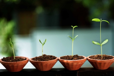 Làm sao để giảm rủi ro khi khởi nghiệp?