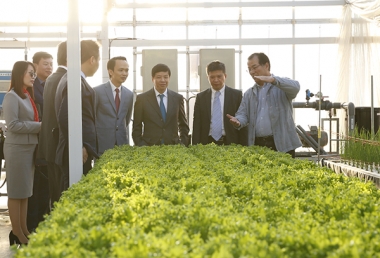 FLC và Farmdo bắt tay làm nông nghiệp