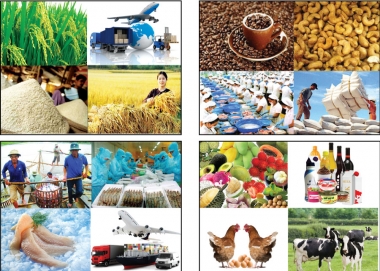 Năm 2017, xuất khẩu nông, lâm, thủy sản đạt 36,37 tỷ USD