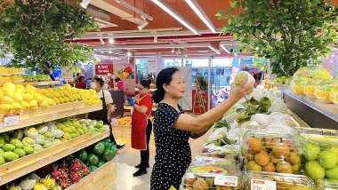 Doanh nghiệp bán lẻ nội địa trước làn sóng FDI: Cơ hội và thách thức