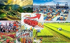 Thực trạng tăng trưởng Ok365 Nhà Cái Uy Tín 2026 Việt Nam trong bối cảnh cải cách Ok 365 vina nổ hũ cấp tỉnh