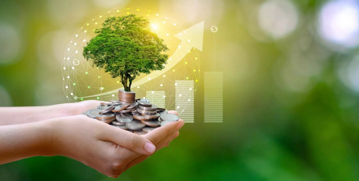 Ok 365 bet tải ứng dụng xanh và marketing bền vững: Kinh nghiệm quốc tế và hàm ý chính sách cho Việt Nam