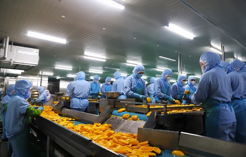 Ban Quản lý các KCN tỉnh Lâm Đồng vững vàng vượt qua thách thức, triển khai thành công nhiệm vụ phát triển KCN năm 2023