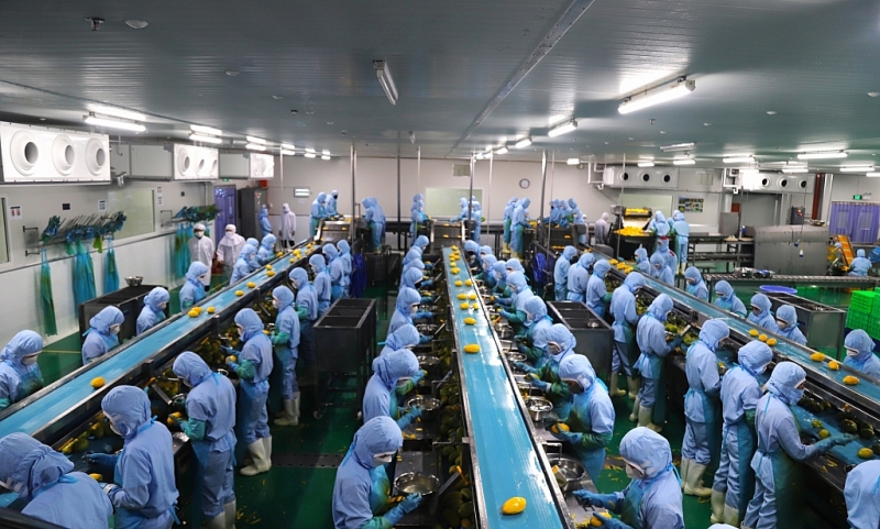 Ban Quản lý các KCN tỉnh Lâm Đồng vững vàng vượt qua thách thức, triển khai thành công nhiệm vụ phát triển KCN năm 2023