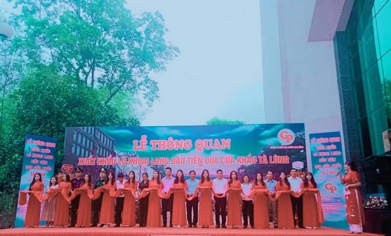 Xuất khẩu lô khoai lang đầu tiên của Việt Nam sang Trung Quốc qua cửa khẩu Tà Lùng, tỉnh Cao Bằng
