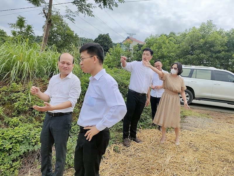Ban Quản lý các KCN tỉnh Hòa Bình, dấu ấn chặng đường 15 năm phát triển