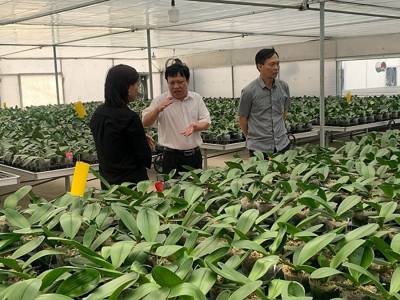 Nam Định thúc đẩy phát triển khoa học, công nghệ và đổi mới sáng tạo