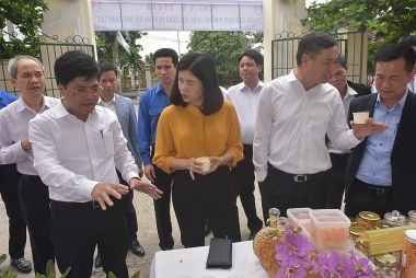 Nam Định thúc đẩy phát triển khoa học, công nghệ và đổi mới sáng tạo