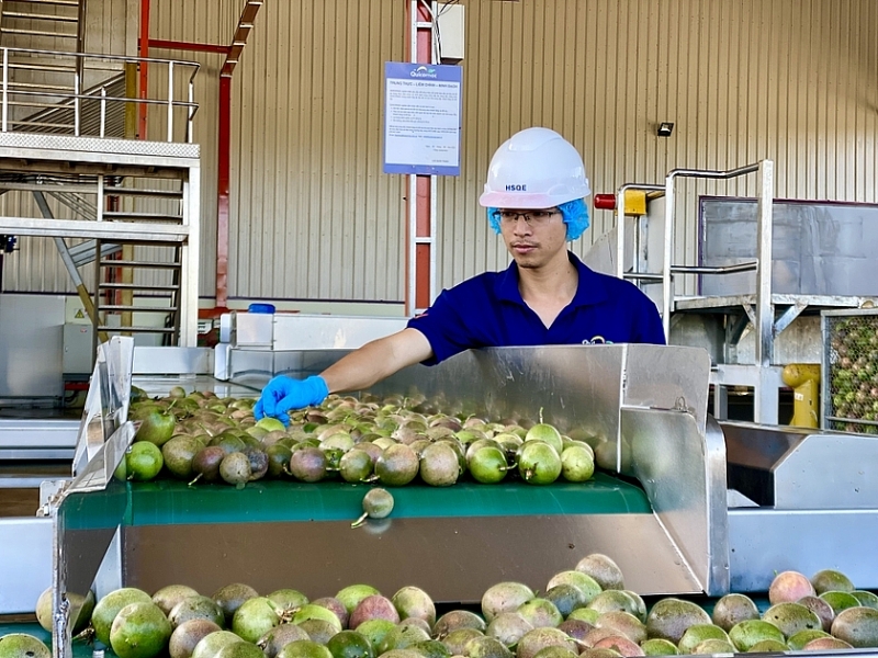 Gia Lai đẩy mạnh phát triển khu Ok365 Nhà Cái Uy Tín 2026, khu Ok 365 bet Nhanh tay đăng ký