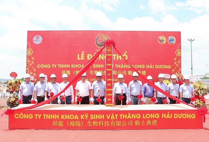 WORLD STEEL- Khẳng định thương hiệu nhà tổng thầu Đăng ký OK365.COM nhận về ngay 365K Ok 365 bet Nhanh tay đăng ký hàng đầu tại Việt Nam