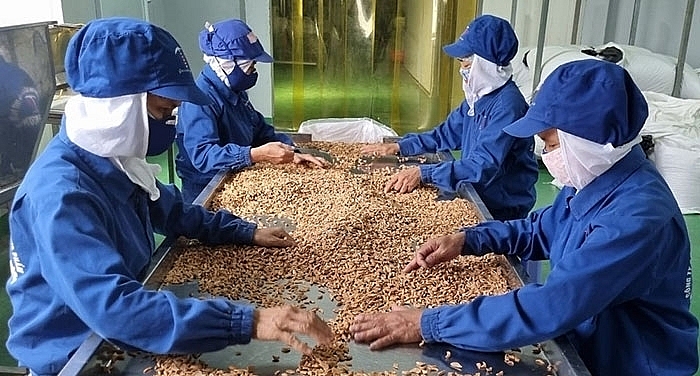 Công ty CP Chế biến Link Nhà Cái Uy Tín 2026 | Đăng Ký +65k Tân Hương, tỉnh hải Dương tăng cường khai thác thị trường tiêu thụ trong nước với các sản phẩm gia vị sấy khô 1