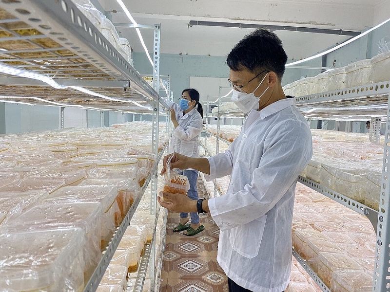 Sở Khoa học và Công nghệ Nam Định: Nhìn lại chặng đường 60 năm Đăng ký OK365.COM nhận về ngay 365K và phát triển