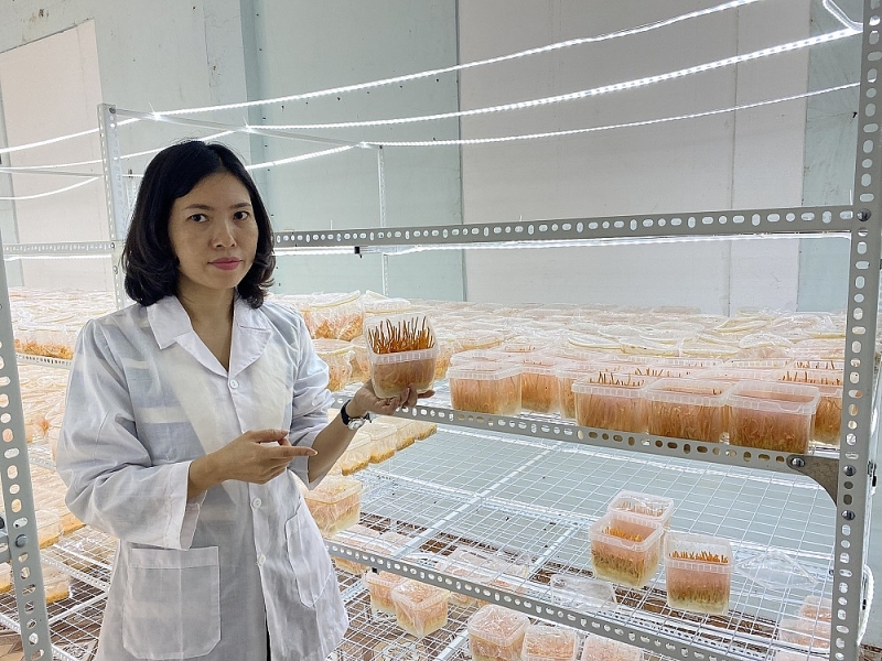 Sở Khoa học và Công nghệ Nam Định: Nhìn lại chặng đường 60 năm Đăng ký OK365.COM nhận về ngay 365K và phát triển