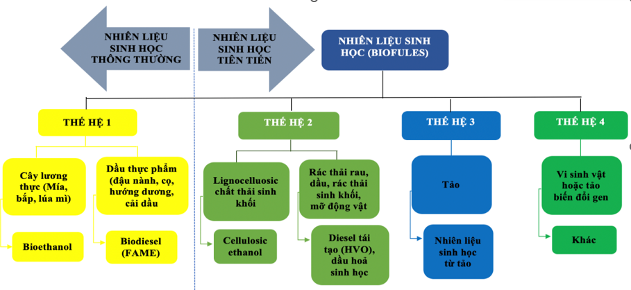 Thị trường tín chỉ carbon cho ngành vận tải Link Nhà Cái Ok365.com Chính Thức Tặng Ngay 88K đường bộ tại  Việt Nam: Cơ hội và thách thức
