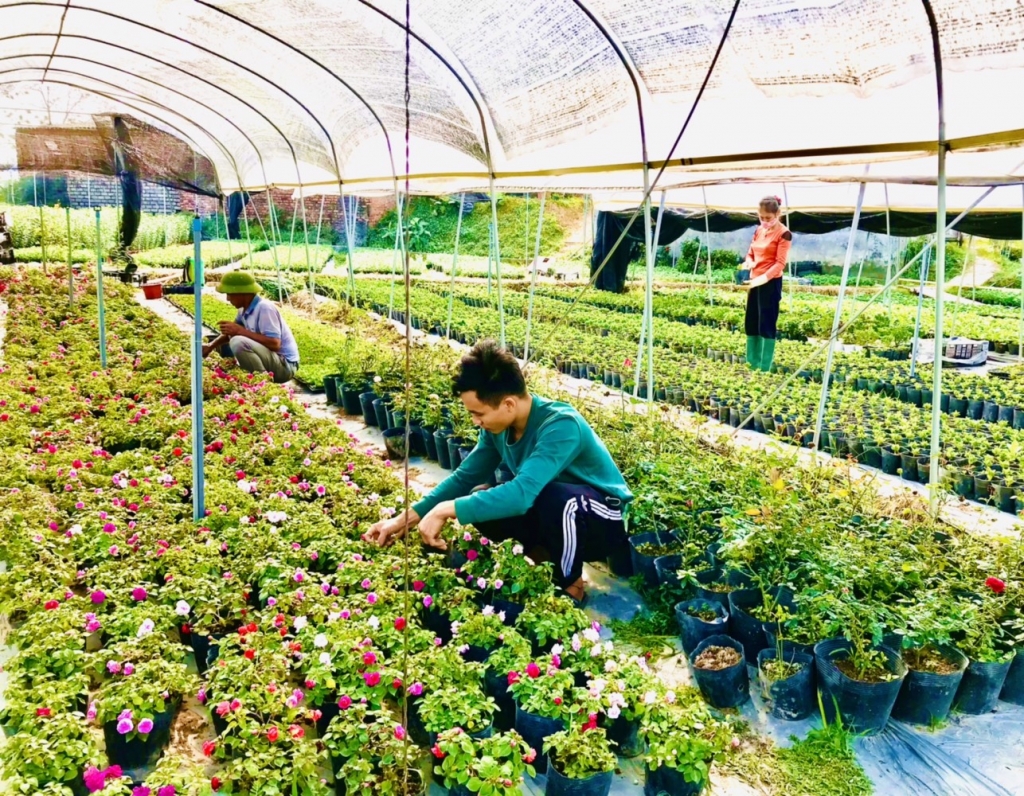 GIẢI PHÁP TỰ TẠO VIỆC LÀM CHO THANH NIÊN NÔNG THÔN TỈNH BẮC GIANG TRONG BỐI CẢNH MỚI