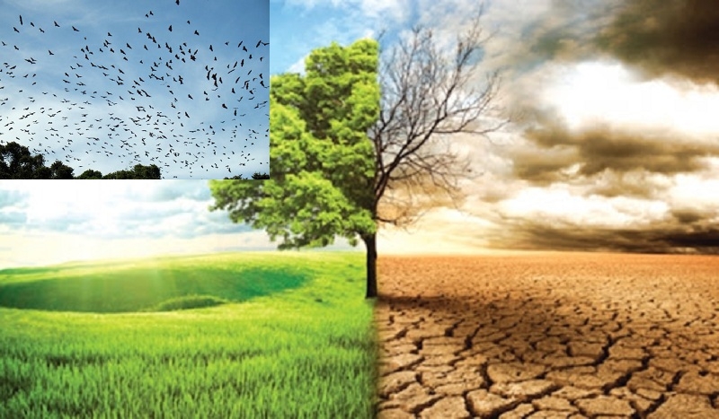 Ban hành Hệ thống giám sát và đánh giá hoạt động thích ứng với biến đổi khí khậu cấp quốc gia