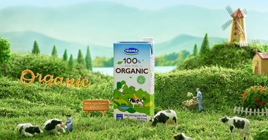 Mất vị thế TOP 10 vốn hóa, điều gì đang xảy ra ở Vinamilk?