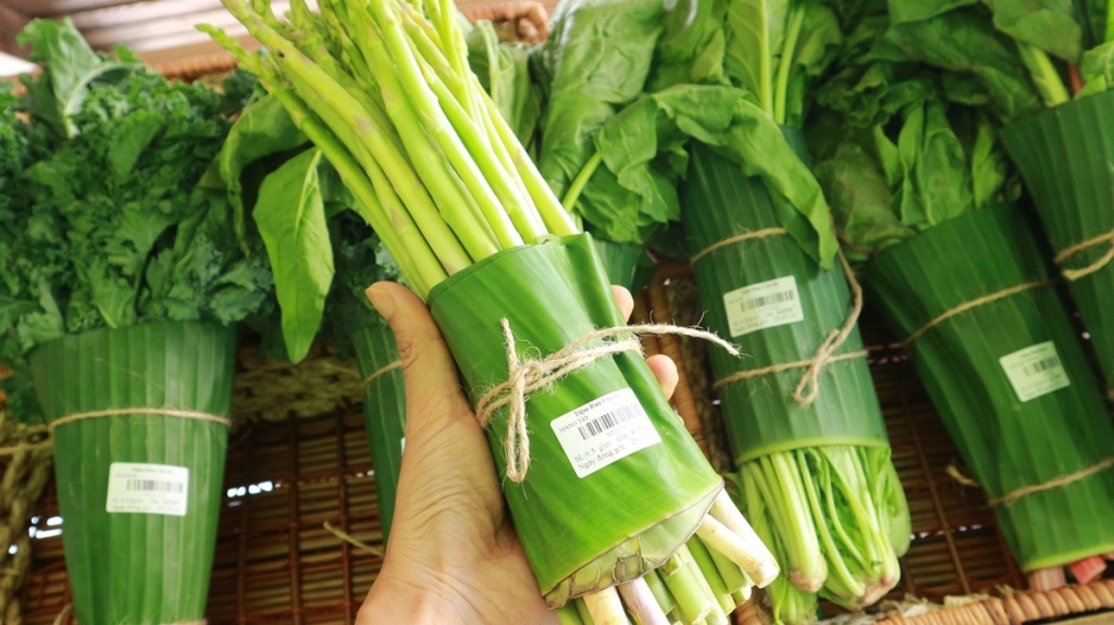 Việt Nam cần một lộ trình chính sách nhằm giảm con số 3,1 triệu tấn Đăng ký OK365.COM nhận về ngay 365K nhựa hàng năm