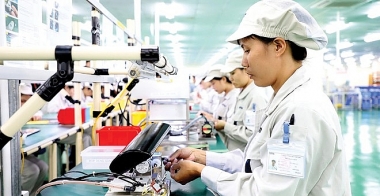 Doanh nghiệp FDI ở Việt Nam và chuỗi giá trị toàn cầu