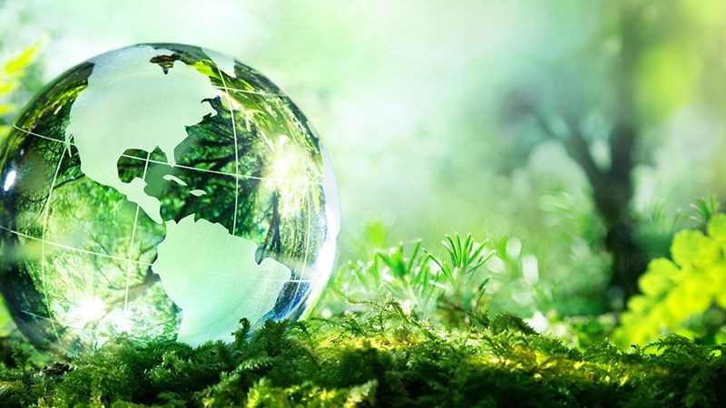 OECD nhận định, tăng trưởng toàn cầu năm 2021 là 5,7%; năm 2022 là 4,5%