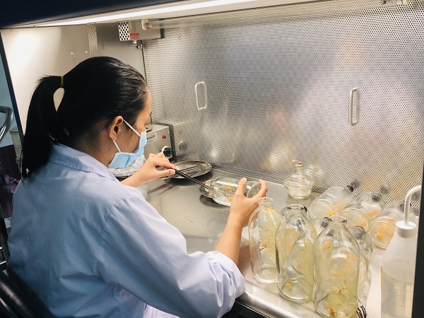 Truyền cảm hứng phát triển đất nước dựa vào khoa học công nghệ và đổi mới sáng tạo