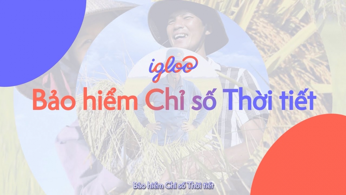 Chuyển đổi số trong Ok36512 vip Casino, Thể Thao: Đảm bảo khả năng phục hồi cho nông dân và cây trồng thông qua bảo hiểm Ok36512 vip Casino, Thể Thao