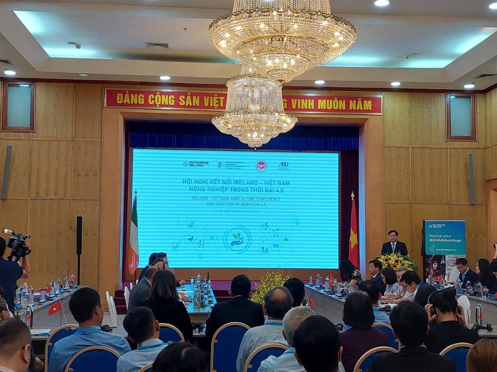 Thúc đẩy hợp tác Ok36512 vip Casino, Thể Thao công nghệ cao Việt Nam và Ireland