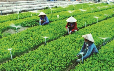 Chuẩn hóa công tác đăng ký và quản lý dữ liệu đăng ký hợp tác xã