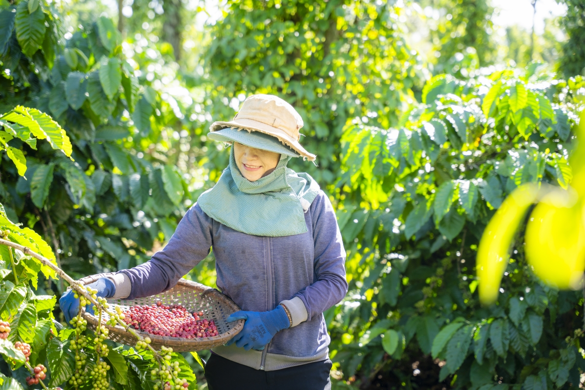 Chương trình NESCAFÉ Plan được vinh danh ở hạng mục cao nhất “Giải thưởng năm” tại Lễ trao giải thưởng Hành động vì cộng đồng 2024
