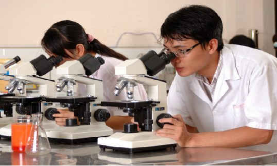 Ban hành tiêu chuẩn giám định viên tư pháp lĩnh vực nông nghiệp
