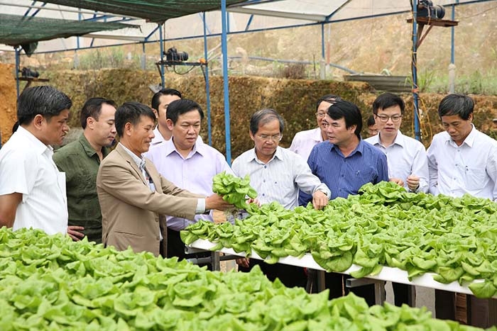 Luật Hợp tác xã (sửa đổi) – Đòn bẩy phát triển Ok365 Nhà Cái Uy Tín 2026 hợp tác
