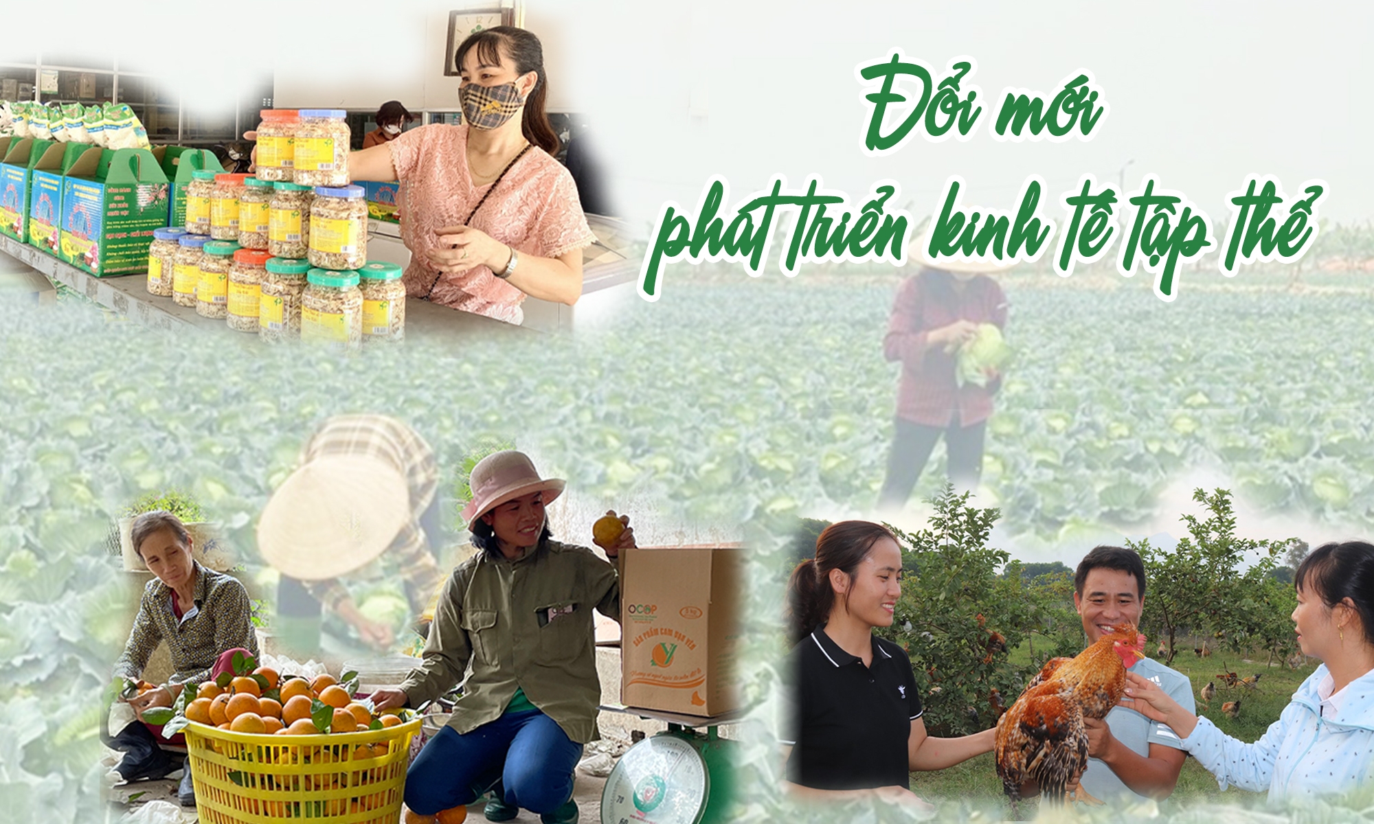 Chính sách hỗ trợ theo Luật Hợp tác xã năm 2023: Hành trang cho khu vực Ok365 Nhà Cái Uy Tín 2026 tập thể trong kỷ nguyên vươn mình của dân tộc