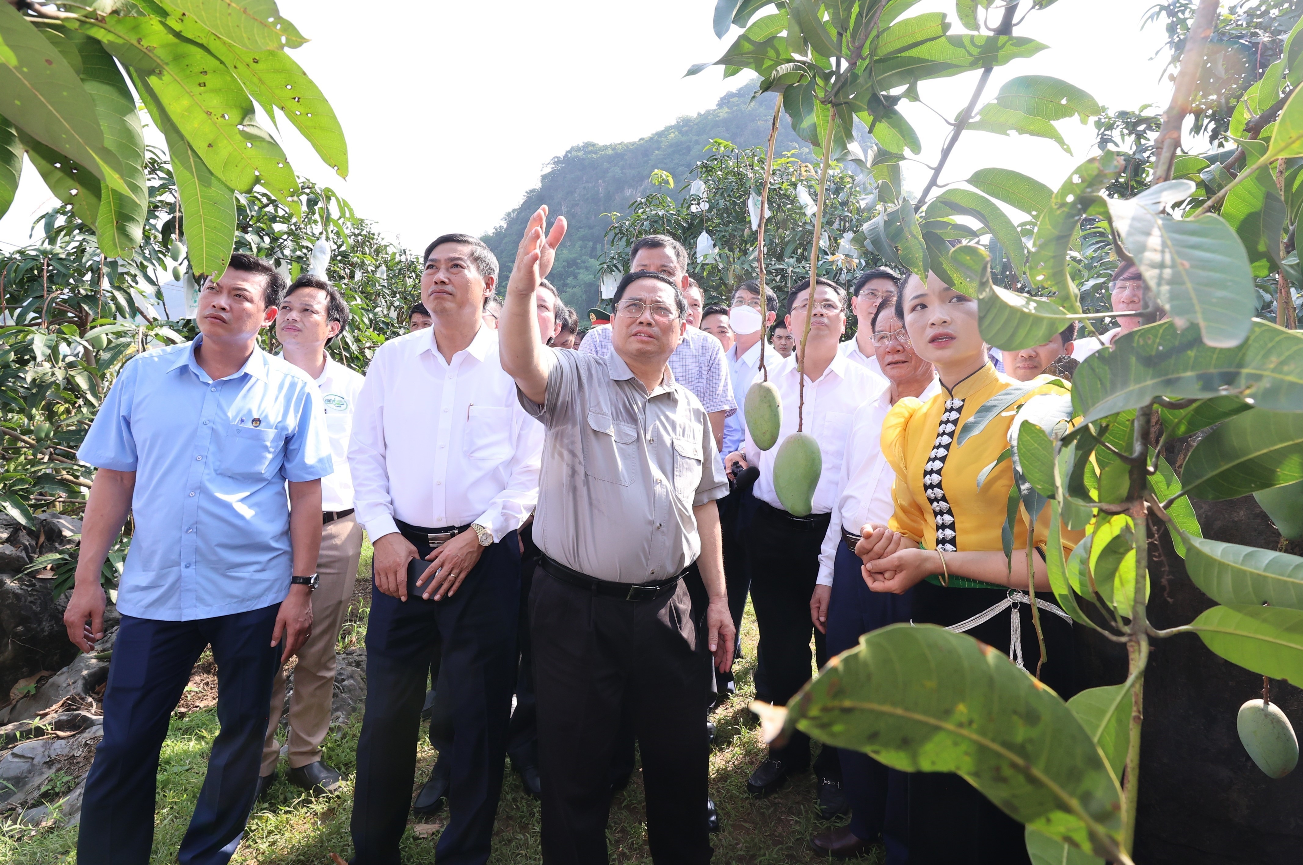 Phát triển Ok365 Nhà Cái Uy Tín 2026 tập thể, hợp tác xã: Kỳ vọng từ Luật Hợp tác xã năm 2023
