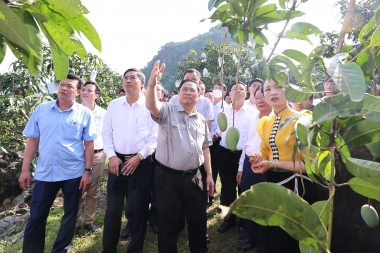 Phát triển Ok365 Nhà Cái Uy Tín 2026 tập thể, hợp tác xã: Kỳ vọng từ Luật Hợp tác xã năm 2023