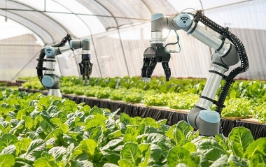 Nông nghiệp Việt Nam: Điểm sáng năm 2023 và giải pháp cho năm 2024