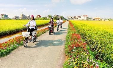 Bốn quy định về xã nông thôn mới kiểu mẫu giai đoạn 2021-2025
