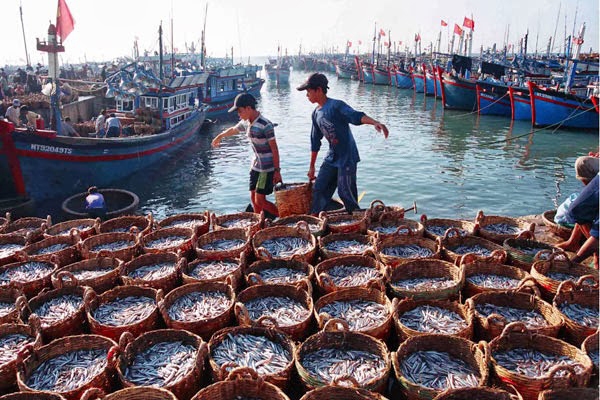 Chăn nuôi phát triển ổn định, hoạt động nuôi trồng và khai thác thủy sản đạt kết quả khả quan