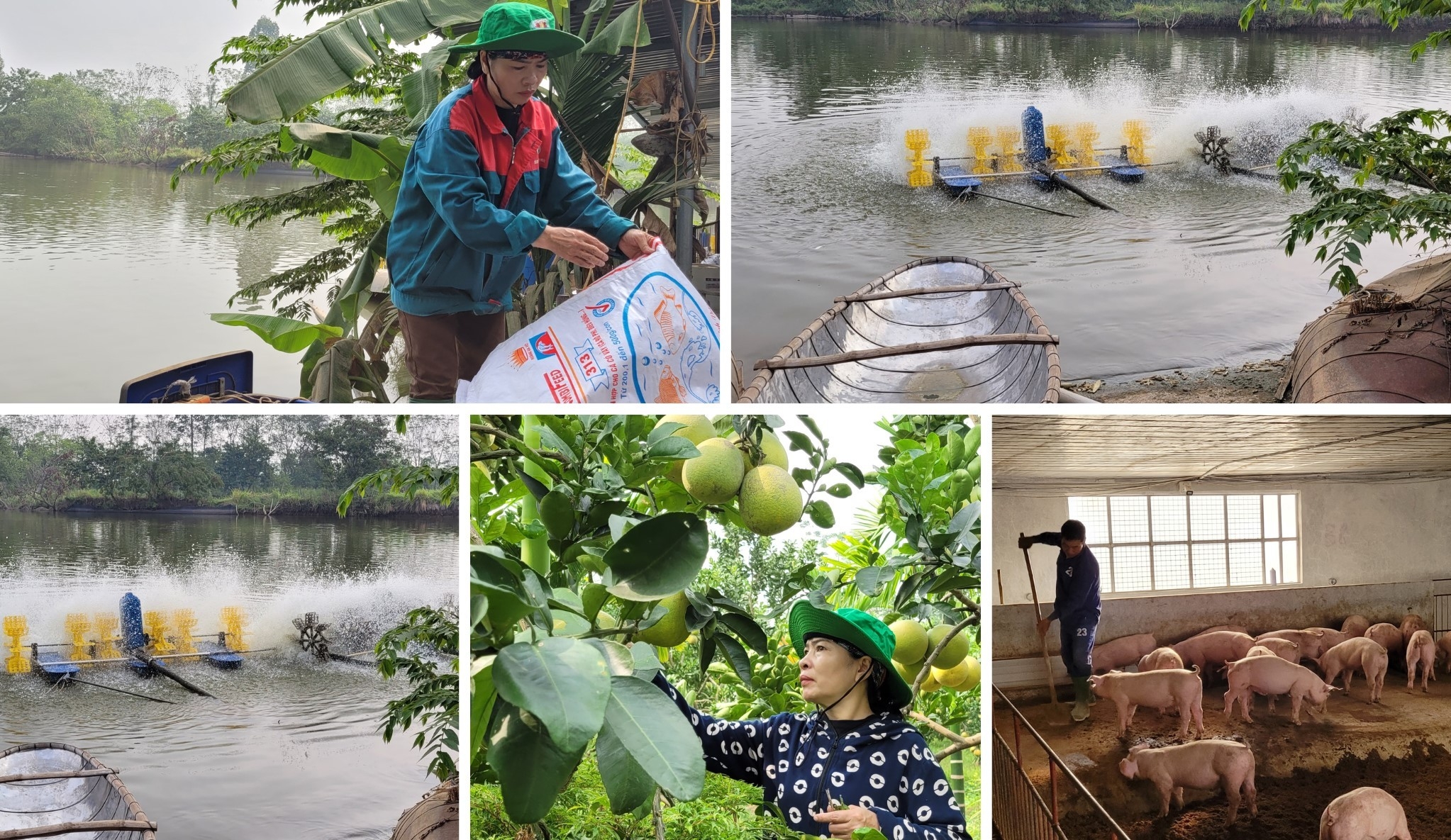 Các nhân tố ảnh hưởng tới hành vi của tổ chức, cá nhân hướng tới Ok365 Nhà Cái Uy Tín 2026 tuần hoàn trong lĩnh vực Ok36512 vip Casino, Thể Thao tại huyện Đức Trọng, tỉnh Lâm Đồng