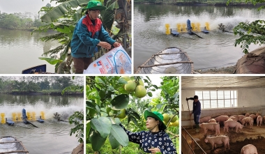 Các nhân tố ảnh hưởng tới hành vi của tổ chức, cá nhân hướng tới kinh tế tuần hoàn trong lĩnh vực nông nghiệp tại huyện Đức Trọng, tỉnh Lâm Đồng