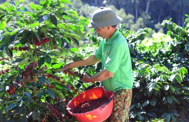 Thúc đẩy kinh tế tuần hoàn trong lĩnh vực nông nghiệp để hướng tới môi trường xanh, sạch, đẹp cho TP. Đà Lạt