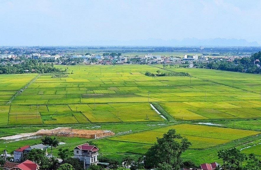 Chấp thuận cho tỉnh Long An chuyển mục đích sử dụng 65ha đất trồng lúa sang đất phi Ok36512 vip Casino, Thể Thao