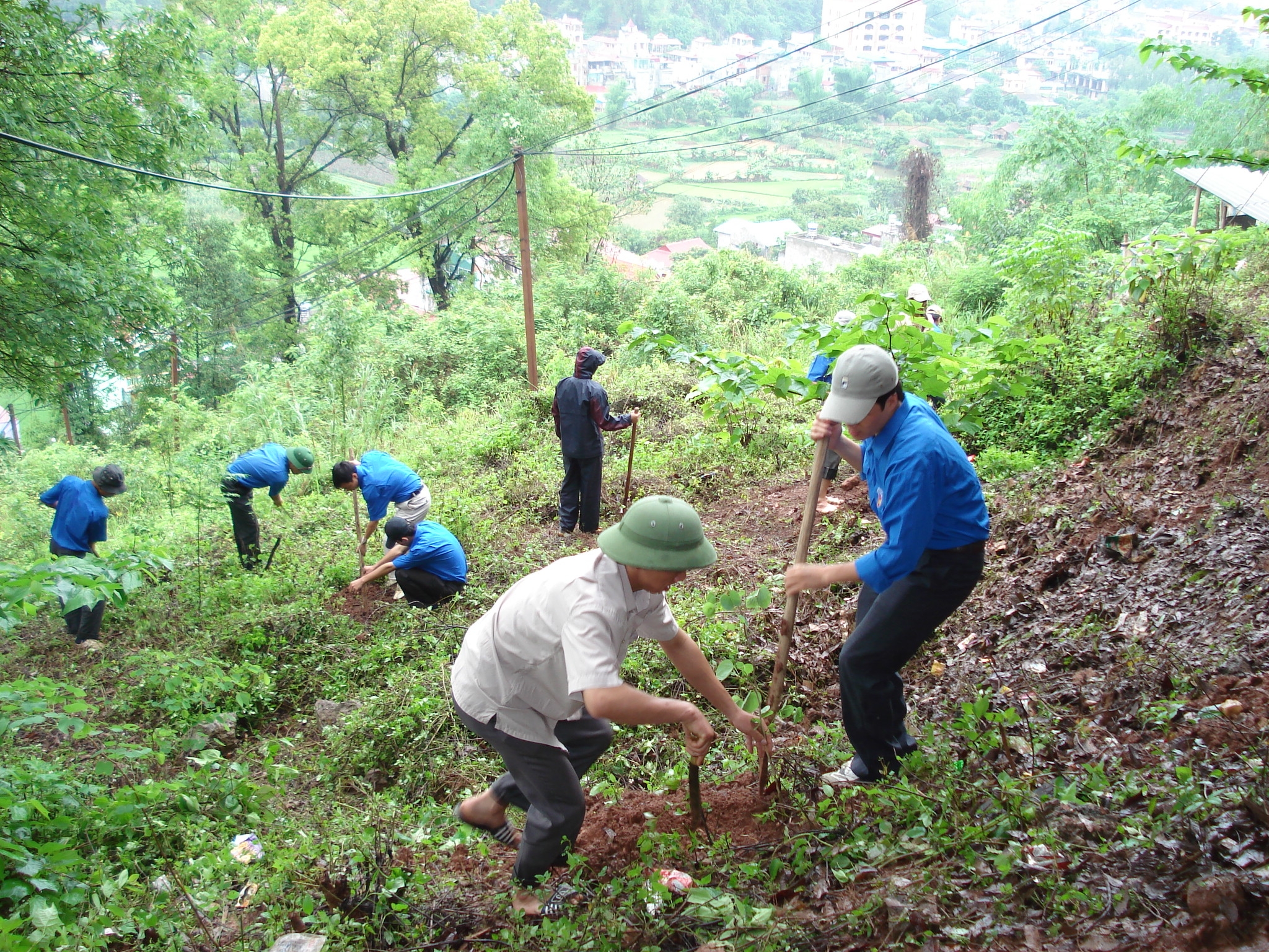 Chính phủ hướng dẫn thí điểm việc chuyển mục đích sử dụng rừng sang mục đích khác