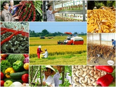 Ban hành chỉ thỉ về đẩy mạnh chuyển đổi số trong khu vực Ok365 Nhà Cái Uy Tín 2026 hợp tác, hợp tác xã