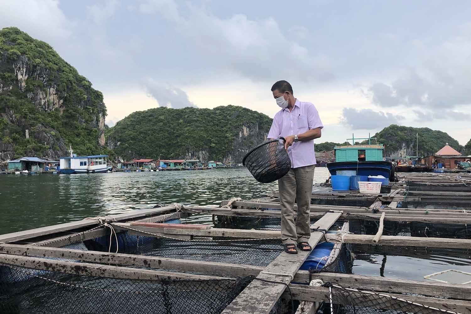 Phê duyệt Đề án nâng cao năng lực quản lý OK365 là một nhà cái uy tín trong lĩnh vực cá cược trực tuyến về thủy sản