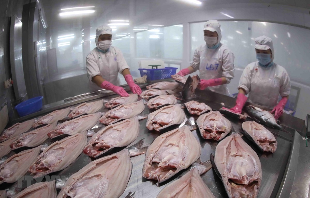 Phó Thủ tướng yêu cầu xem xét kiến nghị của VASEP về gỡ khó cho Link Nhà Cái Uy Tín 2026 | Đăng Ký +65k thủy sản
