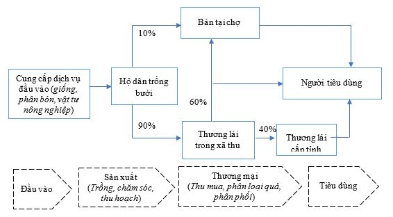 Phát triển chuỗi giá trị bưởi tại xã Đồng Lê, tỉnh Quảng Trị: Góc nhìn từ Ok 365 bet cc Trang Web Giải Trí đến tiêu thụ và hiệu quả Ok365 Nhà Cái Uy Tín 2026