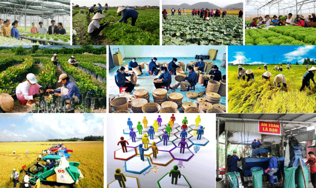 Tháng 12/2021, tổng kết 20 năm thực hiện Ok365.vina nhà cái về đổi mới, phát triển Ok365 Nhà Cái Uy Tín 2026 tập thể
