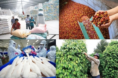 7 tháng đầu năm 2021, kim ngạch xuất khẩu nông, lâm, thủy sản ước đạt 28,6 tỷ USD