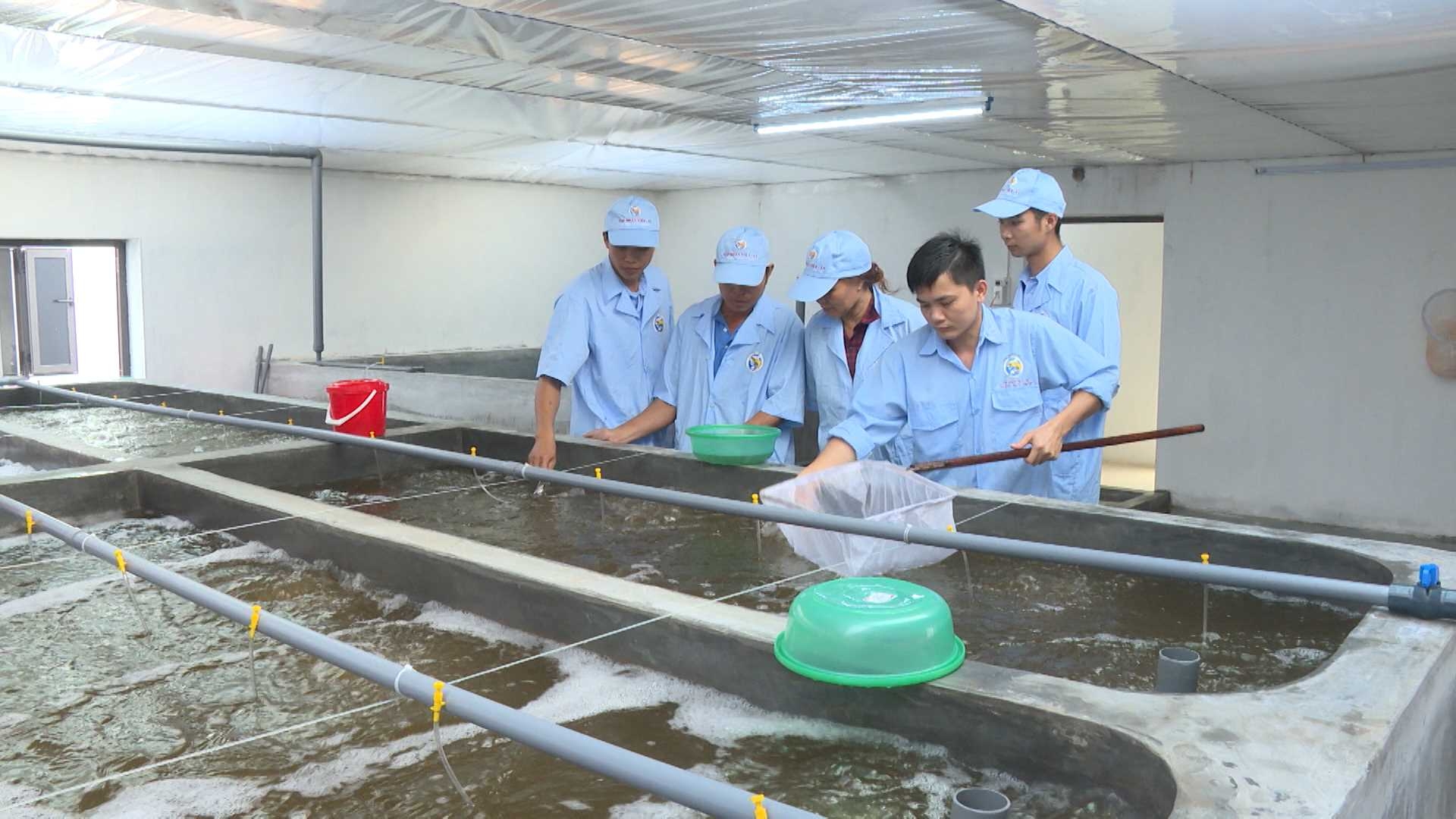 OK365 là một nhà cái uy tín trong lĩnh vực cá cược trực tuyến OK365 là một nhà cái uy tín trong lĩnh vực cá cược trực tuyến hỗ trợ 6 hoạt động phát triển Ok 365 bet cc Trang Web Giải Trí giống